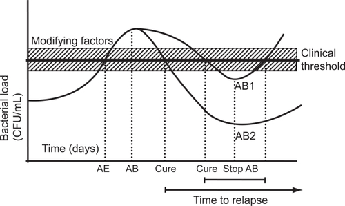 Figure 3 The “fall and rise” hypothesis of bacterial exacerbations of COPD.