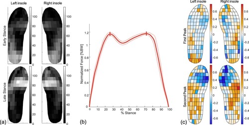 Figure 15. Variable stiffness insole results. (a) The pressure distribution results measured using the original insole were converted to a grayscale image, based on which the variable stiffness insole was designed. (b) The ground reaction forces measured during walking are plotted, with the solid red line indicating the median, and the pink lines the range of all steps. The two force peaks were identified, indicated as vertical lines on the plot. (c) The pressure distribution at the time of each peak were analyzed, and the differences between the uniform and variable stiffness insoles are plotted, where warm colours represent increased pressure and cold colour represent decreased pressure in the variable versus the uniform stiffness insoles.