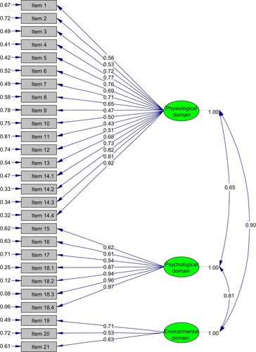 Figure 1 Confirmatory factor analysis model.