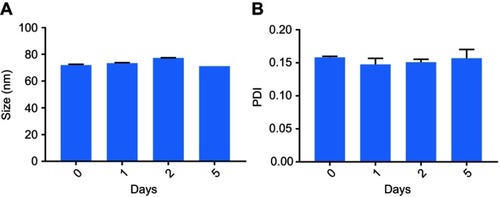 Figure 2 Stability of NPs incubated with 10% FBS in DMEM, (A) size and (B) PDI measured at predetermined time-points. (n=3).Abbreviations: NPs, nanoparticles; FBS, fetal bovine serum; DMEM, Dulbecco's Modified Eagle's Medium; PDI, polydispersity index.