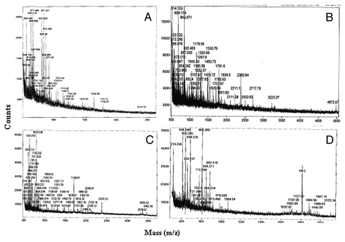 Figure 3. Mass spec analysis of excised proteins. Proteins of interest were excised, tryptic digested and analyzed by MALDI. Peptide profiles of albumin (A), LDL (B), Hemoglobin (C) and Apolipoprotein (D) are shown.