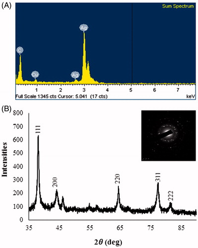 Figure 4. (A) EDX spectrum, (B) XRD spectrum of AgNPs, inset shows SAED pattern, respectively.