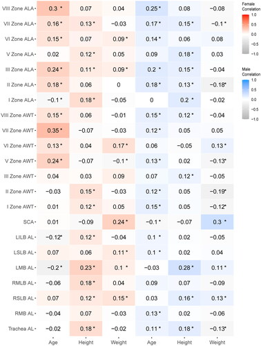 Figure 6. Correlation analysis of airway structural parameters and influencing factors (mean values). This heatmap depicts the correlation coefficients reflecting the strength and direction of associations between comprehensive airway structural parameters—airway lumen area (ALA) and airway wall thickness (AWT) across seven zones (I, II, III, V, VI, VII, VIII), the subcarinal angle (SCA), and the airway lengths(AL) (trachea, right main bronchus (RMB), right superior lobar bronchus (RSLB), right middle lobar bronchus (RMLB), left main bronchus (LMB), left superior lobar bronchus (LSLB), and left inferior lobar bronchus (LILB))—and influencing factors (age, height, weight) in both female and males. The color gradient encodes the correlation’s nature and strength: reds indicate positive correlations, with darker hues signifying stronger positive relationships, and blues represent negative correlations, with deeper blues denoting stronger negative relationships. Each cell specifies the correlation coefficient and asterisks (*) mark statistical significance at p < 0.05. The color scale on the side provides a reference from -1.0, indicative of a strong negative correlation, to +1.0, indicative of a strong positive correlation.