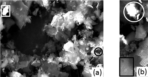 Figure 4. (a) Fresh carbon. (b) Saturated carbon (T = 120°C; c0 = 3.93 mg/m3). SEM micrograph of HGR carbon.