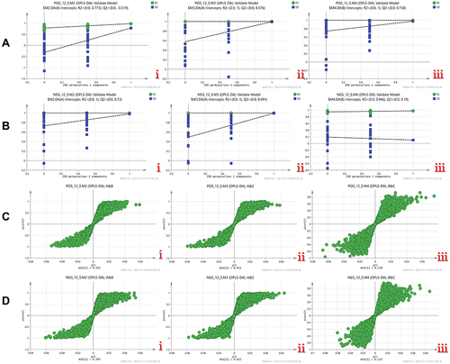 Figure 10 (A) Permutation test diagram of three groups of OPLS-DA models in positive mode, i.A/B group, ii.A/C group, ii.B/C group. (B) Permutation test of three groups of OPLS-DA models in anion mode Figure, i.A/B group, ii.A/C group, ii.B/C group. (C) S-plot of metabolites in positive mode, i.A&B group, ii.A&C group, iii. B&C group. (D) Anion mode Lower metabolite S-plot, i.A&B group, ii.A&C group, iii.B&C group.