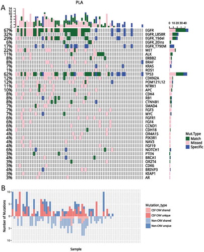 Figure 2. A comparisons of genomic profiles obtained from CSF and plasma. (A) Using genomic profile obtained from CSF as a reference, mutations identified in CSF only were denoted in pink; mutations only identified in plasma were denoted in blue. Mutations identified from both media were denoted in green. (B) Unique/shared CNVs and non-CNVs were plotted. Mutations unique to CSF were plotted on top; mutations shared by CSF and plasma were plotted on the bottom. Dark and light red denote CNV; dark and light blue denote non-CNVs. PLA, plasma; CSF, cerebrospinal fluid; CNVs, copy number variations.