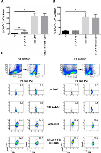 Figure 4 The effect of anti-CD3 stimulation on CD25 and Foxp3 expression on CD4+ T cells from BM. (A) Percentage of the CD4+CD25+ and (B) CD4+Foxp3+ cells were estimated among BMMC stimulated by anti-CD3 by flow cytometry. The results are presented as mean ± SEM (n = 4 in OA and n=4 in RA patient groups, shown together). Comparison of groups was analyzed by Wilcoxon test, * p < 0.05; ns – not significant. (C) The gating strategy and representative staining are shown for OA and RA BMMC respectively. The numbers depicted on the dot plots show the frequencies of the subset expressing the proper marker. C (control) – cells cultured alone in culture medium.