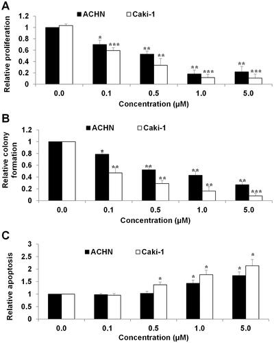 Figure 3. The inhibitory effects of pacritinib on the multiple biological activities of RCC cells. Pacritinib significantly decreases proliferation (a), inhibits colony formation (B) and increases apoptosis (C) in Caki-1 and ACHN cells. Proliferation and apoptosis were evaluated after 72 h drug treatment. *, p < 0.05; **, p < 0.01; ***, p < 0.001 compared to control. Experiments were repeated at least three times to derive averages and results were presented as relative to control (value set as 1). data are presented as mean ± SD.