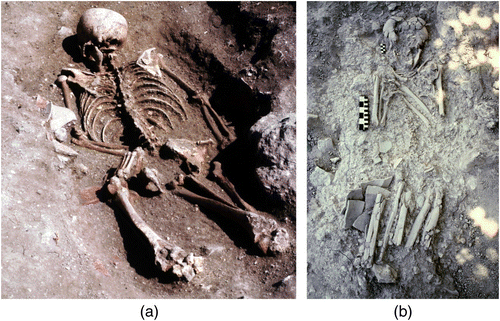 Figure 3 (a) Lamanai Burial N10-4/19, lkg N. (b) Lamanai Burial N10-12/7, lkg W.