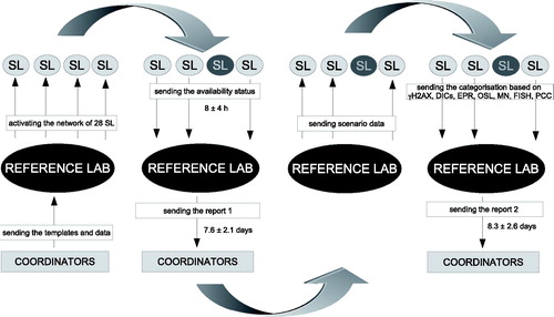 Figure 2. The scheme of a simulation exercise describing the role of SL and RL.