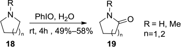 Figure 5 PhIO-mediated functionalization of cyclic amines.