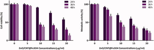 Figure 2. Treatment of K562 cells with ZnO/CNT@Fe3O4 significantly inhibited cell viability and metabolic activity of cells in both time- and concentration-dependent manner. Values are given as mean ± standard deviation of three independent experiments. *p ≤ .05 represents significant changes from untreated control.