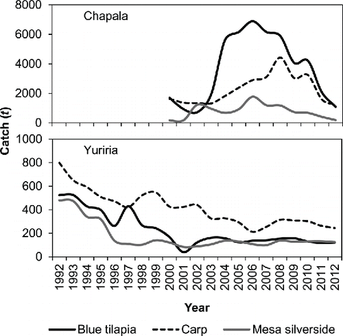 Figure 5 Annual catch trends in Lake Chapala and Lake Yuriria fisheries.
