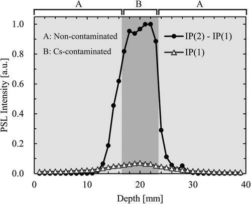 Figure 4. Example of depth-directional radioactive-caesium distribution of sample soil constructed artificially, which was measured with IP strip monitor.