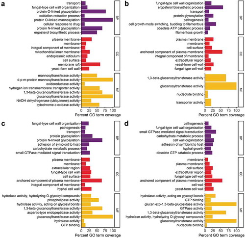 Figure 3. Functional enrichment analyses of the significantly enriched and exclusive C. albicans EV proteins. The online tool FungiFun2 (elbe.hki-jena.de/fungifun) was used to identify enriched biological process (BP), cellular component (CC), and molecular function (MF) GO terms [Citation56] based on EV enriched or exclusive proteins from (a) DAY286 yeast, (B) ATCC90028, (C) ATCC10231, and (D) DAY286 biofilm. The top 8 (where present) significantly enriched terms for each GO domain are shown (Hypergeometric distribution, Benjamini-Hochberg adjusted p-value < 0.01). They are presented top to bottom in order of increasing Benjamini-Hochberg adjusted p-value. Full lists of enriched GO terms can be found in Supplementary Data S3.