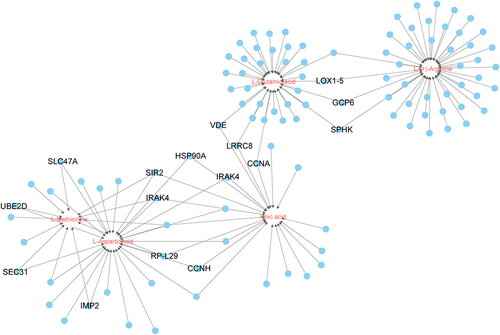 Figure 8. Interaction network of some key DEMs correlated with genes. The blue nodes represent genes, circles in the center of the lines represent metabolites.