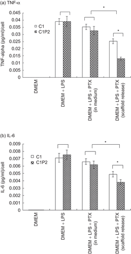 Figure 4.  TNF-α (a) and IL-6 (b) release from macrophage cells cultured in the four conditions listed in Table 2. * p < 0.05.