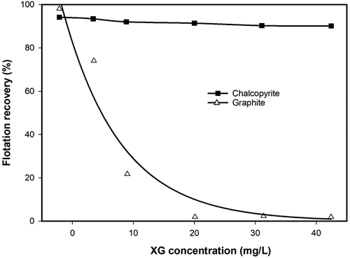 Figure 8. Flotation recovery of single chalcopyrite or graphite as a function of xanthan gum (XG) concentration at pH 7.5 (redrawn from Zhang, Tian et al. Citation2023).