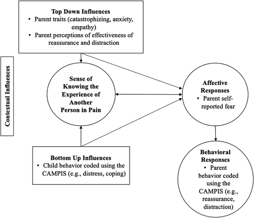 Figure 1. Study variables mapped onto the pain empathy model.Citation3