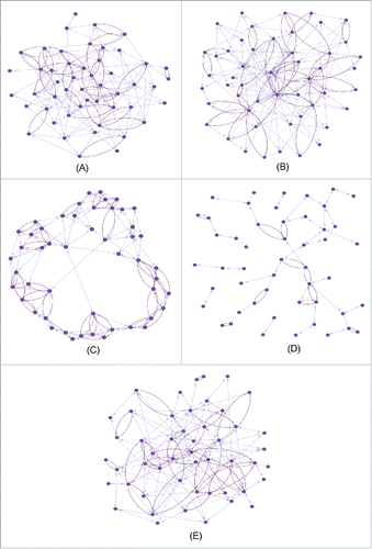 Figure 1. Simulation of various initial architectures: random, scale-free, small world, empirical (1 and 2). (A) Radom; (B) scale-free; (C) small-world; (D) empirical-1; (E) empirical-2.