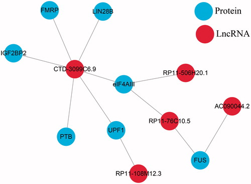 Figure 2. lncRNA-Protein interaction net-work.
