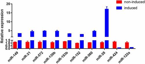 Figure 3. RT-PCR results (n = 3).