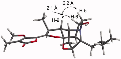 Figure 4. Molecular model of compound 1b generated in SPATAN 18 using DFT calculations (ωB97X-D/6-31G*) of the equilibrium geometry (gas phase).