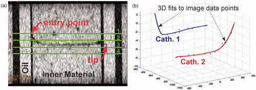 Figure 2. 3D spline catheter mapping. (a) Coronal fast-SPGR image showing the catheter in the phantom. For images such as this, the tip localisation was within <1 mm accuracy (in-plane uncertainty in the catheter tip was within 1 pixel on a 512×512 matrix with 33 cm FoV). Also shown here are the approximate axial slice locations for the SPGR images used in the MRT calculations. Axial slices are labelled 1–4. (b) Spline fits for catheter/temperature probe localisation. Data points are extracted from images such as (a) to reconstruct the catheters in MR image coordinate space.