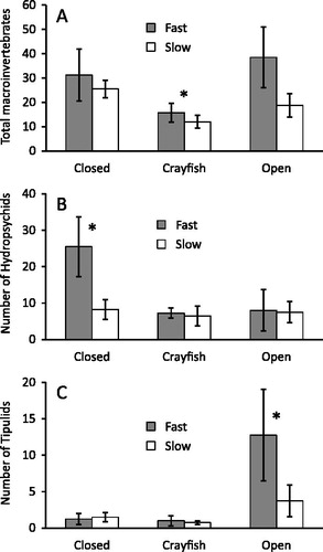 Figure 2. The mean ± SE number of benthic invertebrates in cage treatments after 21 d in Lowes Creek. Closed cages excluded crayfish, crayfish cages had one O. rusticus, and open cages had ends removed so resident crayfish could freely enter and leave. The three graphs show total macroinvertebrate (A), hydrospychid (B), and tipulid (C) numbers. Cage treatments that were significantly different are indicated by an asterix (Kruskal-Wallis, p < 0.05).
