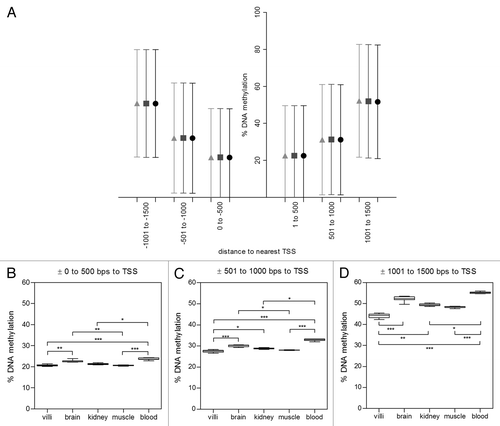 Figure 4. Distance to transcription start site (TSS) influences methylation of probes in promoters. 98% of probes on the Illumina Infinium HumanMethylation27 BeadChip array were within 1500 bps of a known gene TSS. (A) In the merged villi group, DNA methylation was analyzed by binning probes into six 500 bp windows around known TSS. There were significant differences in DNA methylation between probes in strong (●) weak (■) and non(▲) islands (p<0.0001) but direction to TSS had no significant effect on DNA methylation. DNA methylation of probes furthest from TSS (± 1000 to 1500 bps; 16.31% ± 2.26, 59.29% ± 5.39, 63.82% ± 3.6 for strong, weak and non islands respectively) was significantly higher than probes close to TSS (± 0 to 500 bps; 8.65% ± 0.77; 35.60% ± 2.16, 57.14 ± 3.33 for strong, weak and non island respectively, all p<0.001). Tissue differences in DNA methylation of 2nd trimester villi, muscle, kidney, brain and adult blood were investigated in three TSS bins in strong CpG islands: (B) ± 0 to 500 bps, (C) ± 501 to 1000 bps and (D) ± 1000 to 1500 bps. Significance is indicated by *p < 0.05, **p < 0.001, ***p < 0.0001.