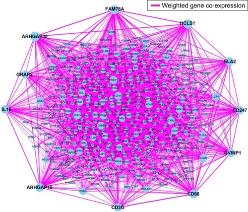 Figure 2 Weighted co-expression network for all prognosis-related genes.
