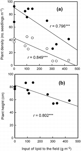 Figure 2  Relationship between the input of lipid contained in the garbage compost applied to the field and (a) plant density and (b) plant height of mock pak choy. The investigation was carried out 8 days (○) and 22 days (•) after seeding. The points show data from each treatment in the field experiment.