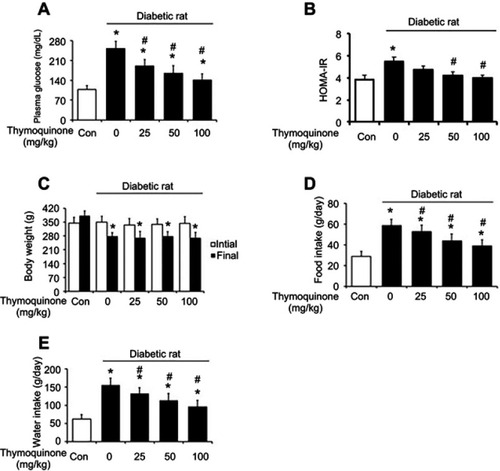 Figure 2 Chronic effects of thymoquinone (TQ) in normal and diabetic rats. (A) Plasma glucose levels in normal (white column) and diabetic (black column) rats. (B) Changes in HOMA-IR before (white column) and after (black column) treatment with different doses of TQ for 45 days. (C) Changes in body weight before (white column) and after (black column) treatment with different doses of TQ for 45 days. (D) Changes in food intake in normal (white column) and diabetic (black column) rats. (E) Changes in water intake in normal (white column) and diabetic (black column) rats. Values are expressed as means ± SDs (n=6). *P<0.05 compared with the control group. #P<0.05 compared with the vehicle-treated diabetic group.