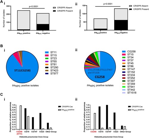 Figure 1. Presence of CRISPR-Cas system in blaKPC-positive /blaKPC-negative groups and CG258/non-CG258 isolates. (A) i. Presence of type I-E CRISPR systems in 459 Chinese clinical isolates collected in this study; ii. Presence of type I-E CRISPR systems in 203 completely sequenced strains available in GenBank. (B) i. MLSTs of blaKPC-positive group in459 Chinese clinical isolates; ii. MLSTs of blaKPC-positive group in 203 completely sequenced strains available in GenBank. (C) i. Presence of type I-E CRISPR systems among different clone groups in 459 Chinese clinical isolates collected in this study; ii. Presence of type I-E systems among different clone groups in 203 completely sequenced strains available in GenBank. p < 0.0001 indicate significant differences between two groups as determined using Chi-square (and Fisher’s exact) test with Bonferroni correction of the GraphPad Prism8 software.