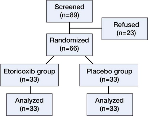 Figure 1. Flow of participants through the trial. 23 of 89 patients were not randomized for the following reasons: 16 declined to participate, 4 did not meet the inclusion criteria, and 3 were rejected for other reasons (they chose regional anesthesia).