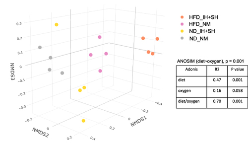 Figure 3 Bray–Curtis-based non-metric multidimensional (NMDS) scaling plot of dissimilarities between all four experimental groups. Analysis of similarities (ANOSIM) was used to test the differences between groups. ADONIS for beta diversity distances was used to determine the factor (diet or oxygen status) with the strongest impact on dissimilarities between groups.