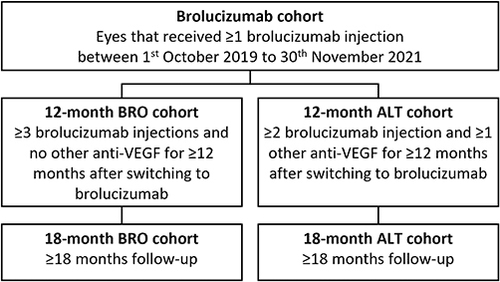 Figure 1 Definition of the brolucizumab, BRO and ALT cohorts.