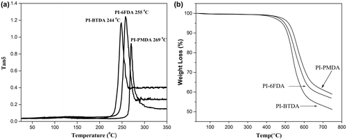 Figure 2. (a) DMTA and (b) TGA curve of poly(sulfone ether imide)s.