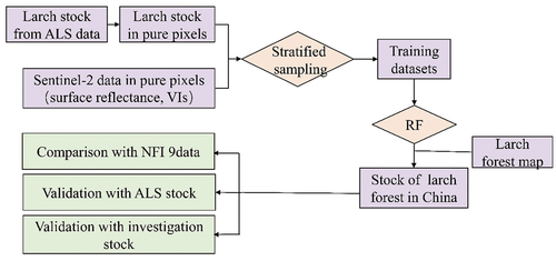 Figure 3. Flowchart of larch stock estimation from Sentinel-2 and LiDAR data.
