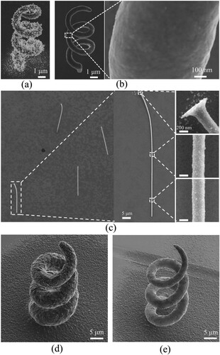 Figure 10. SEM images of the printed (a) helix at 30 °C with pressure of 1 mbar, (b) helix at 5 °C with pressure of 1mbar, (c) pillars with a high aspect ratio at 5 °C, (d) helix at 30 °C with pressure of 10 mbar and (e)helix at 5 °C with pressure of 10 mbar.