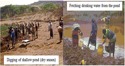 Figure 7. Severe drought, water development and consumption