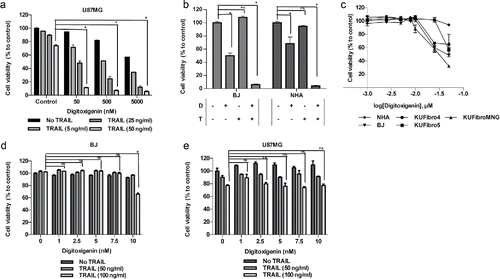 Figure 2. Effect of a cardiac glycoside, Digitoxigenin, on GBM and non-malignant cell viability. Cell viability detection after 24 hours of Digitoxigenin and/or TRAIL addition. (A) The effect of different doses of Digitoxigenin and TRAIL combinations on U87MG. (B) The chosen dose combination of 500 nM Digitoxigenin and 50 ng/ml TRAIL on BJ and NHA. (C) Low doses of Digitoxigenin (1–50 nM) tested on a panel of human fibroblasts: KUFibro4, KUFibro5, KUFibroMNG, BJ and Human Astrocytes (NHA). (D) Doses up to 10 nM were combined with 50 and 100 ng/ml TRAIL on BJ cells. (E) Low dose combination of Digitoxigenin on U87MG cells. * indicates p <0.05 and ns indicates nonsignificant (p>0.05).