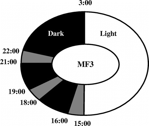 Fig. 1. Diagram for MF3 schedule.