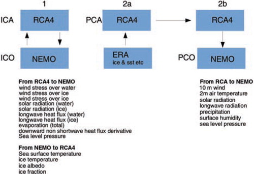 Fig. 2 Experimental set-up and exchange variables between the ocean and atmosphere model components. ICA=interactively coupled atmosphere, ICO=interactively coupled ocean, PCA=passively coupled atmosphere, PCO=passively coupled ocean.