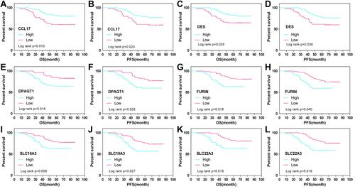 Figure 6 OS and PFS curves for CC (N=130) according to CCL17 (A and B), DES (C and D), DPAGT1 (E and F), FURIN (G and H), SLC19A3 (I and J) and SLC22A3 (K and L) gene expression status (low or high). The expression status for each sample was classified according to the median gene expression value.