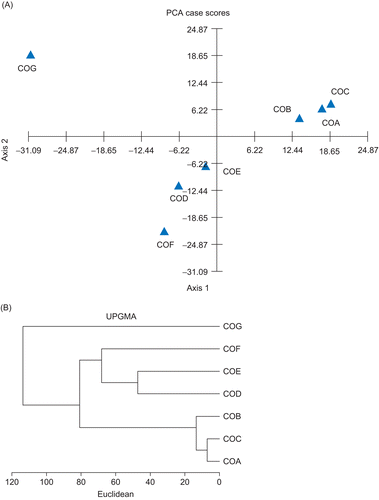 Figure 1.  (A) Principal component analysis of essential oils from C. osmophloeum leaves, scatter plot of PC2 compared with PC1 dependence. (B) Dendrogram of cluster analysis in essential oils from C. osmophloeum leaves.