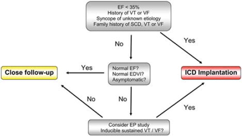 Figure 2. Proposed algorithm for arrhythmic risk stratification in IVNC.EF = ejection fraction; VT = ventricular tachycardia; VF = ventricular fibrillation; SCD = sudden cardiac death; EDVI = end-diastolic volume index; ICD = implantable cardioverter defibrillator; EP = electrophysiological.