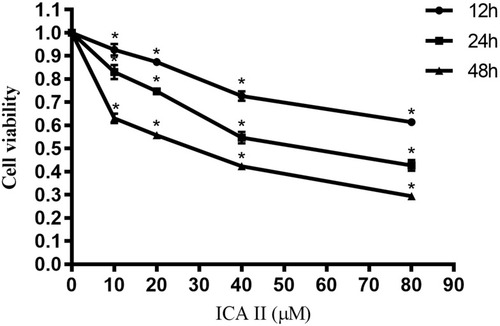 Figure 1 The impact of ICA II treatment on DU145 cell viability. DU145 cells were treated with ICA II for 12, 24, or 48 h. Results are presented as the mean ± SD. *P <0.01, vs control.