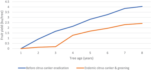 Figure 3. Estimated tahiti lime fruit yield (bu/tree) with endemic CC and CG and yield before the CC eradication program.