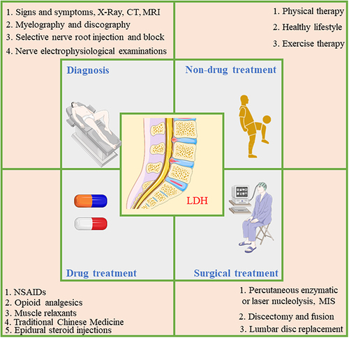 Figure 2 Diagnostic methods and current treatments of LDH.